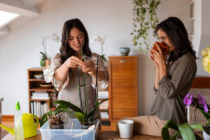 Circular Economy at Home in Mexico: Practical Steps to Embrace Sustainable Living